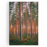 Black and white photograph of a serene Finnish landscape on stretched canvas, ideal for kitchen wall art or bedroom ambiance.