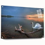 Large abstract wall art of a European scenery in Latvia, depicted in muted earth tones on acrylic glass.