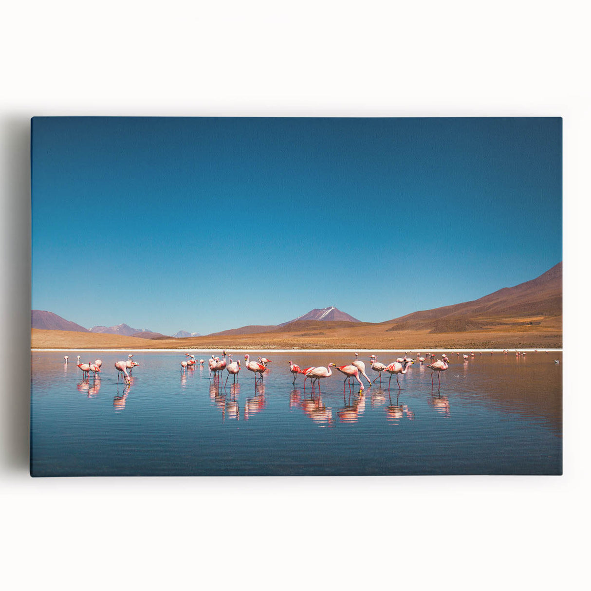 Black and white photograph of Bolivia's landscape on stretched canvas, ideal for kitchen wall art.