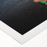 Art deco poster featuring a scenic view of a Brazilian landscape on rolled canvas, suitable for dining room decor.