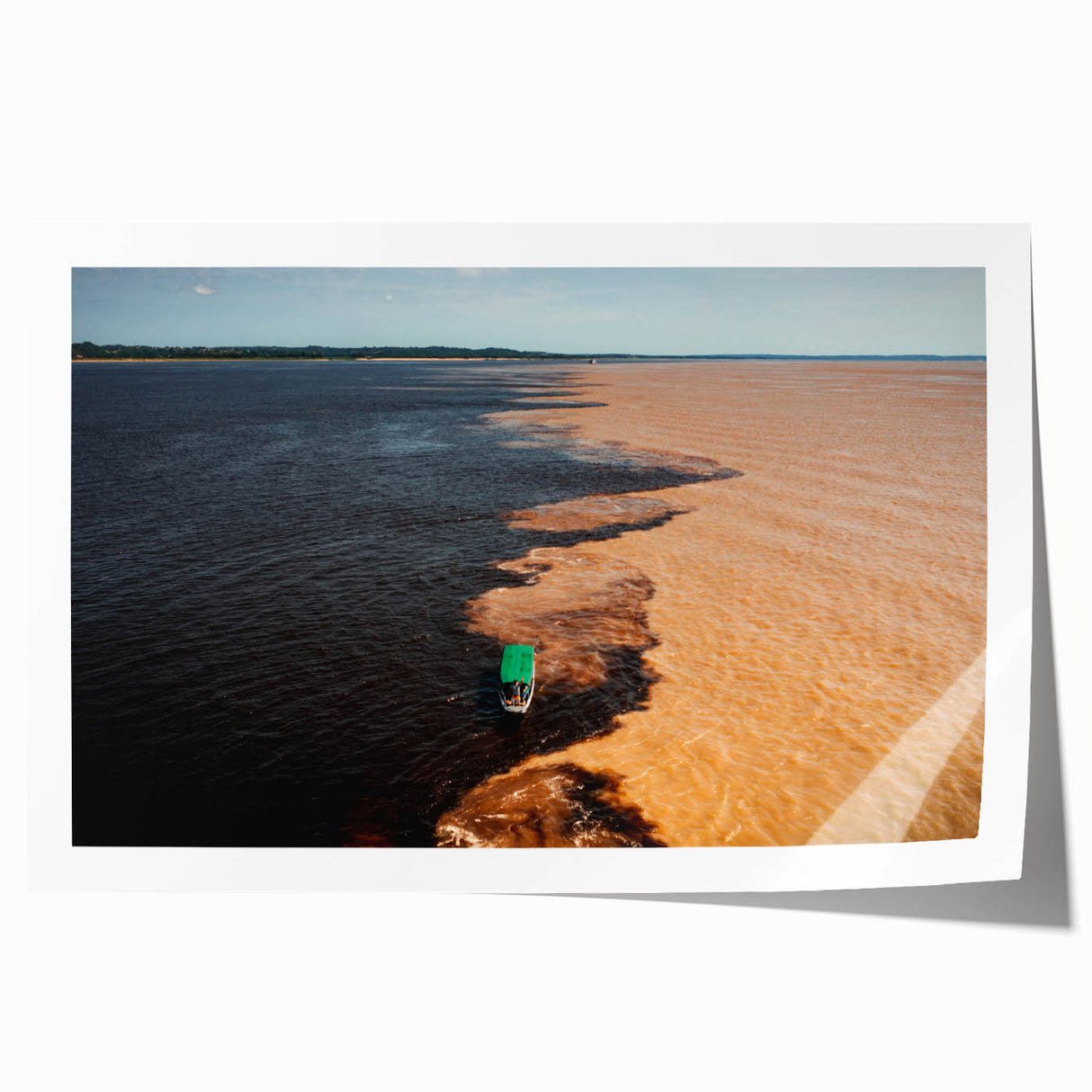 Extra large rolled print of a vibrant, floral Brazilian landscape, ideal for art wall dining room.