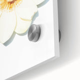 Large abstract wall art in pastel shades on acrylic glass featuring a mid-century modernist design.