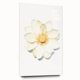 Large abstract wall art on acrylic glass depicting spring themes in soft green and pink tones.