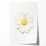 Rolled canvas print featuring a spring floral design in pastel hues, suitable for dining room or bathroom decor.