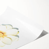 Extra large wall art featuring line art flowers in black on a white background, ideal for large living room decor.