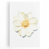 Black and white abstract depiction of spring on large stretched canvas, ideal for kitchen wall art.