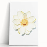 Large black and white stretched canvas depicting a spring scene, ideal for kitchen wall art or bedroom ambiance.