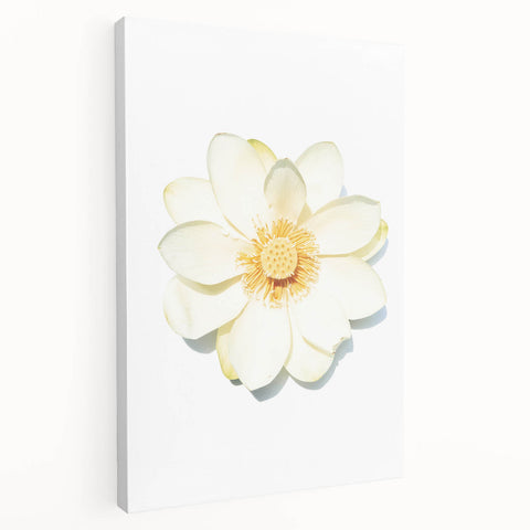 Spring-themed stretched canvas showing blooming trees in pastel colors, ideal for kitchen wall art.
