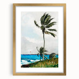 Palm Tree, Nassau Realism Art Print - Tropical Coastal Canvas Decor
