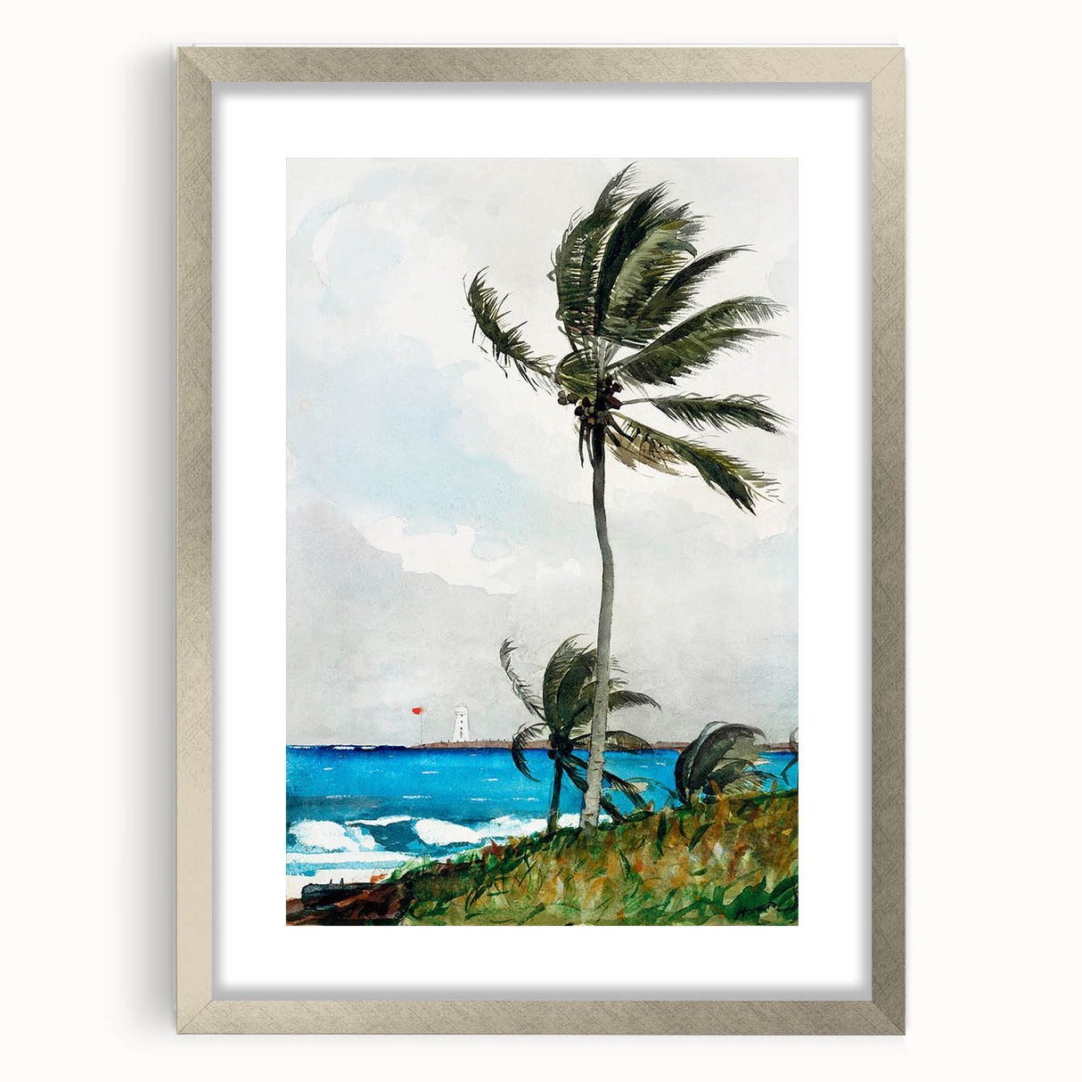 Palm Tree, Nassau Realism Art Print - Tropical Coastal Canvas Decor