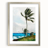 Palm Tree, Nassau Realism Art Print - Tropical Coastal Canvas Decor