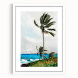 Palm Tree, Nassau Realism Art Print - Tropical Coastal Canvas Decor