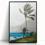 Palm Tree, Nassau Realism Art Print - Tropical Coastal Canvas Decor
