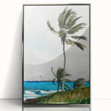 Palm Tree, Nassau Realism Art Print - Tropical Coastal Canvas Decor