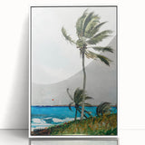 Palm Tree, Nassau Realism Art Print - Tropical Coastal Canvas Decor