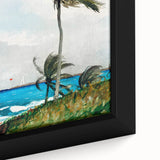 Palm Tree, Nassau Realism Art Print - Tropical Coastal Canvas Decor