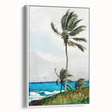 Palm Tree, Nassau Realism Art Print - Tropical Coastal Canvas Decor