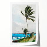Palm Tree, Nassau Realism Art Print - Tropical Coastal Canvas Decor