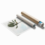 Palm Tree, Nassau Realism Art Print - Tropical Coastal Canvas Decor