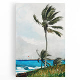 Palm Tree, Nassau Realism Art Print - Tropical Coastal Canvas Decor