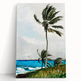 Palm Tree, Nassau Realism Art Print - Tropical Coastal Canvas Decor