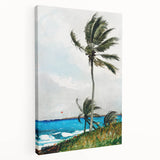 Palm Tree, Nassau Realism Art Print - Tropical Coastal Canvas Decor