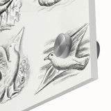 Expressionism Wall Art - Seven Pigeons by Leo Gestel