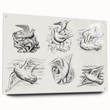 Expressionism Wall Art - Seven Pigeons by Leo Gestel