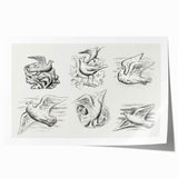 Expressionism Wall Art - Seven Pigeons by Leo Gestel