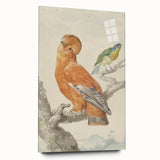 Classical Realism Painting of Exotic Birds - Realism Art Canvas Print
