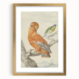 Classical Realism Painting of Exotic Birds - Realism Art Canvas Print