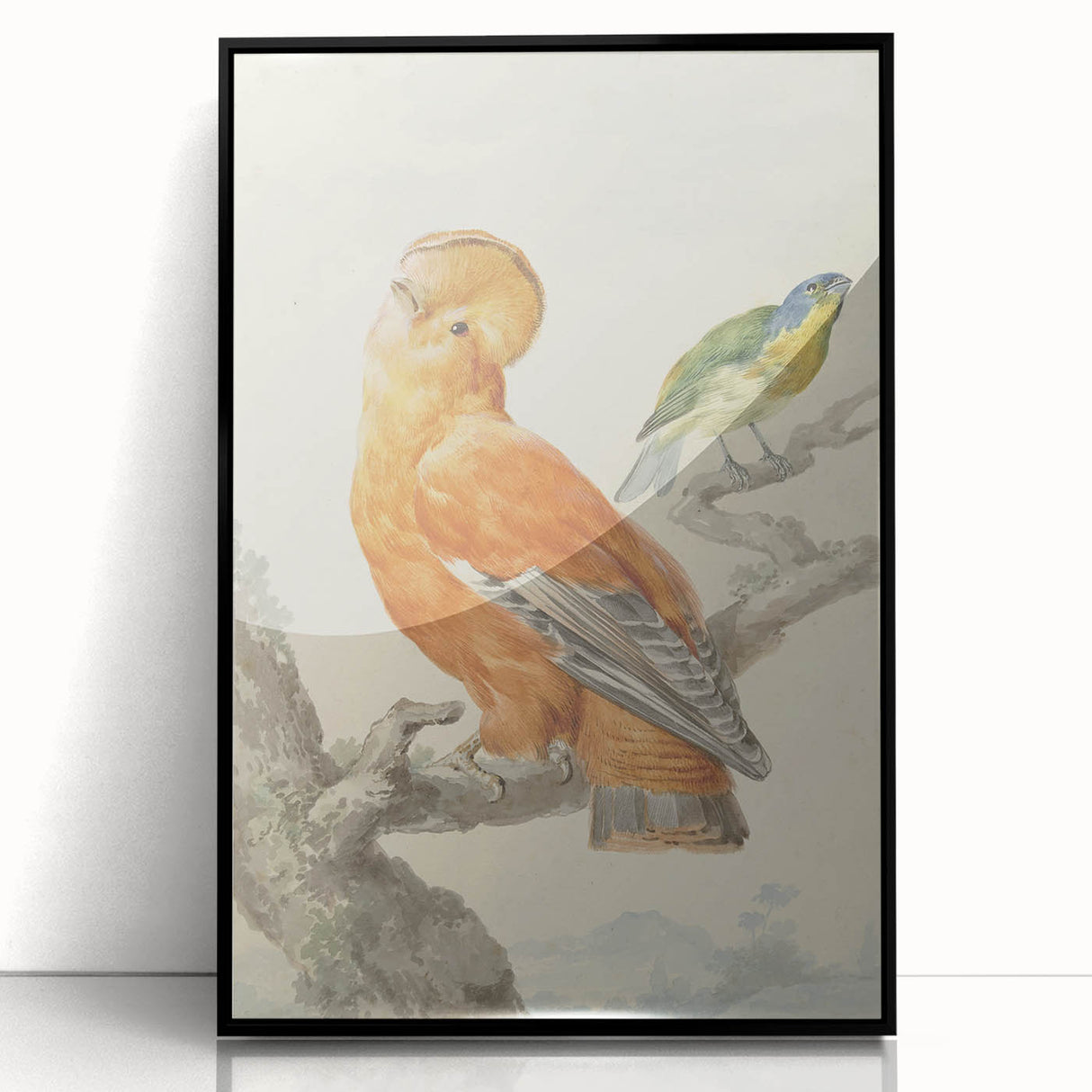 Classical Realism Painting of Exotic Birds - Realism Art Canvas Print
