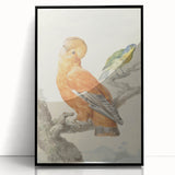 Classical Realism Painting of Exotic Birds - Realism Art Canvas Print