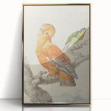 Classical Realism Painting of Exotic Birds - Realism Art Canvas Print