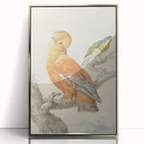 Classical Realism Painting of Exotic Birds - Realism Art Canvas Print