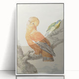 Classical Realism Painting of Exotic Birds - Realism Art Canvas Print
