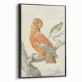 Classical Realism Painting of Exotic Birds - Realism Art Canvas Print