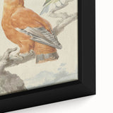 Classical Realism Painting of Exotic Birds - Realism Art Canvas Print
