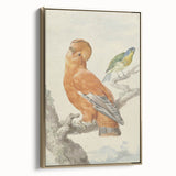 Classical Realism Painting of Exotic Birds - Realism Art Canvas Print