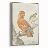 Classical Realism Painting of Exotic Birds - Realism Art Canvas Print