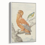 Classical Realism Painting of Exotic Birds - Realism Art Canvas Print
