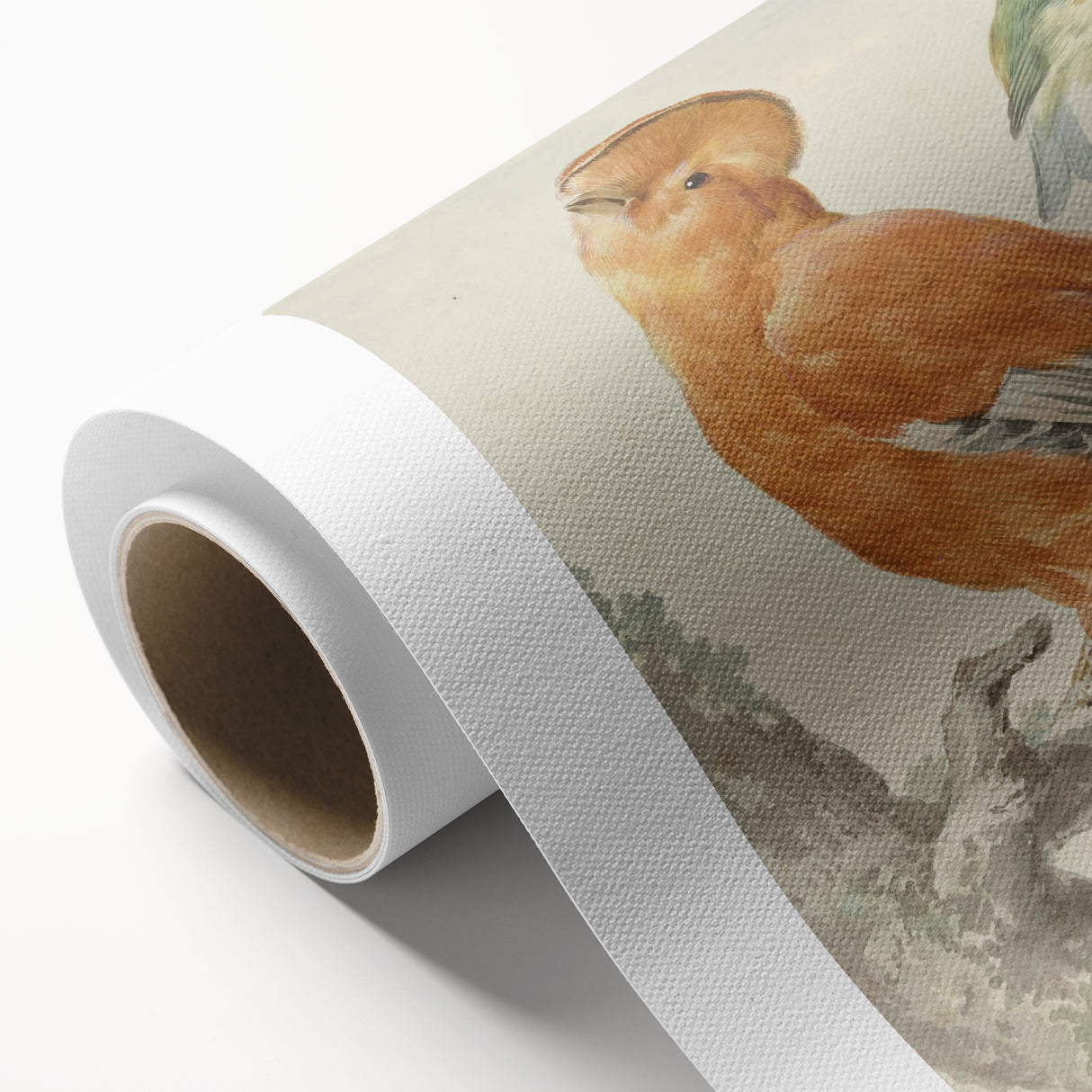 Classical Realism Painting of Exotic Birds - Realism Art Canvas Print