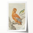 Classical Realism Painting of Exotic Birds - Realism Art Canvas Print