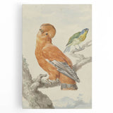 Classical Realism Painting of Exotic Birds - Realism Art Canvas Print