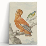 Classical Realism Painting of Exotic Birds - Realism Art Canvas Print