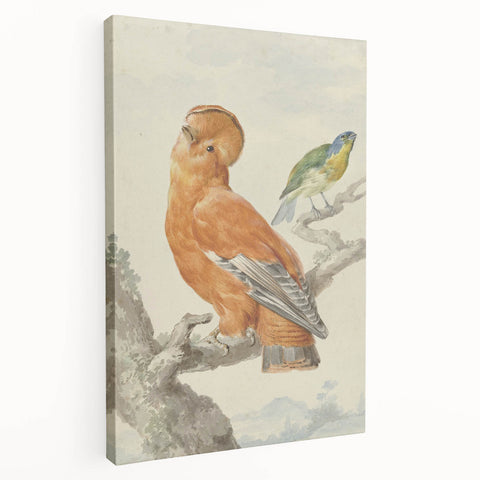 Classical Realism Painting of Exotic Birds - Realism Art Canvas Print