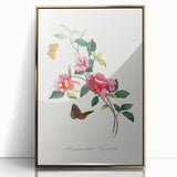 Romanticism Art: Bougainvillea and Butterflies - Historic Floral Print