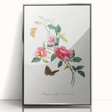 Romanticism Art: Bougainvillea and Butterflies - Historic Floral Print