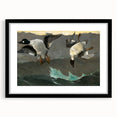 Dramatic Realism Art of Ducks in Flight - Fine Art Realism Canvas