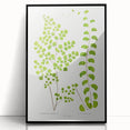 Fine Art Realism Print - British Ferns by Edward J. Lowe - Elegant Wall Art